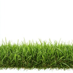 Fototapeta premium Lush green grass border, isolated, white background, nature texture