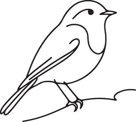 Stunning Line Drawing of Robin Bird
