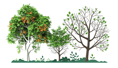 Fototapeta premium Vector illustration of nature trees, growth leaves, die cutout, transparent background, ecological design, green environment, plant life, sustainable growth, nature beauty, natural resources