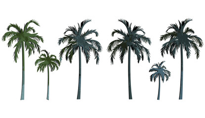 Palm trees vector illustration shapes, cut out png file, transparent background, tropical palm silhouette, beach palm design, nature vector, island tree shape, tropical scenery