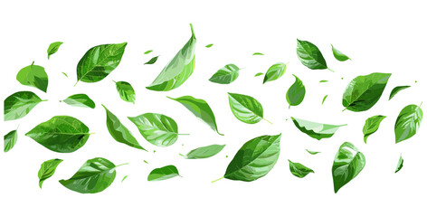 Vector illustration of realistic green leaves flying, isolate on transparent backgrounds, nature, botanical, foliage, airy, fresh, floating, spring, eco, organic, decorative, plant elements, wind