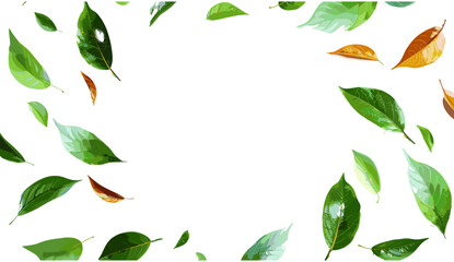 Flying leafs movement, realistic vector illustration, swirl around circles, cutout backgrounds, autumn wind, nature elements, foliage pattern, eco concept, dynamic leaves, flow effect, seasonal air