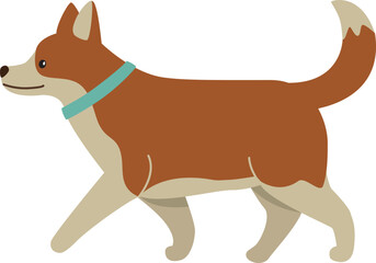Dog stands on all fours paws. Red pet isolated on a transparent background	