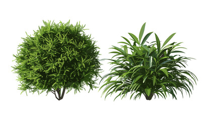 Fototapeta premium Vector illustration of realistic greenish tropics shrubs, isolated greenery, tropical jungle plants, lush foliage, nature background, tropical leaves, exotic plants, foliage design