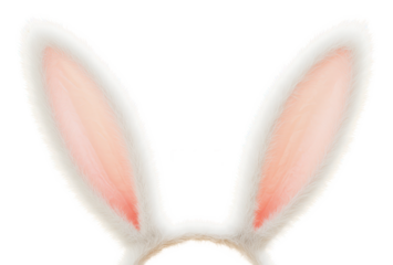 Soft, fluffy bunny ears are perched atop a headband, adding a whimsical touch to a festive event, on a transparent background