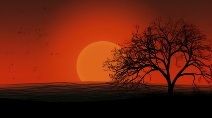 Fototapeta premium contrast orange backround