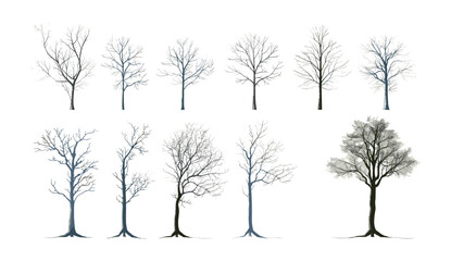 Tree collections without foliage, vector cutouts, transparent background, solitary trees 3D illustration, PNG tree cutout, isolated trees for design, nature silhouette