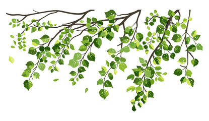 Obraz premium Leaf composition, vector illustration, tree branches, nature design, botanical elements, top view foliage, greenery texture, plant life, organic shapes, environmental art