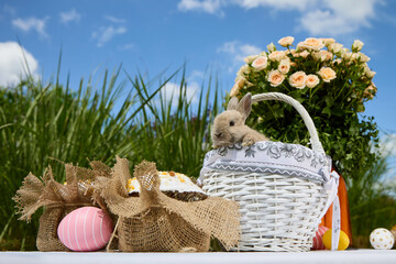 Baby rabbit in decorative basket with easter eggs, cake and flowers