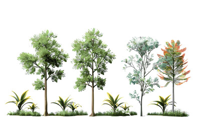 Tropics jungle trees, vector illustration, lush forest, tropical plants, exotic vegetation, vibrant leaves, nature shapes, rainforest greenery, tropical landscape