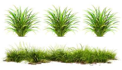 Vector illustration, verdant grass, green tufts, row set, lush meadow, summer outdoor, bright landscape, fresh green grass, nature design, grass