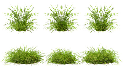 Verdant grass, row set, vector illustration, lush grass tufts, green meadow, nature background, fresh greenery, summer landscape, bright outdoor greenery, nature elements