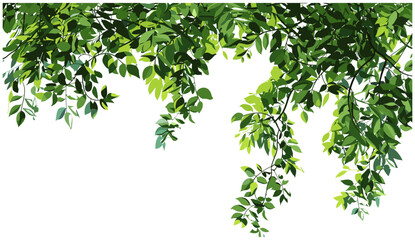 Verdant leafy overhead, lush tree canopy, green foliage, tropical forest, woodland canopy, vibrant leaves, nature scene, forest green, tranquil trees, lush outdoors,