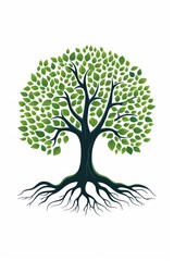 A Big green tree with roots beneath drawing sketch plant.