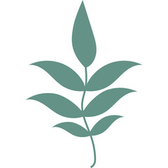 Abstract Plant Organic Shape