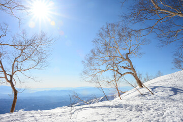 八方尾根の冬景色