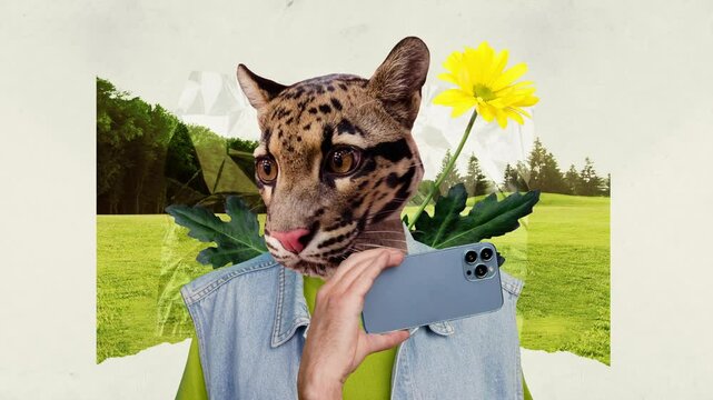 Motion poster trend art collage video of man instead head tiger hold phone chrysanthemum flower park walk summer