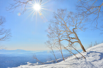 八方尾根の冬景色