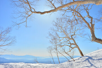 八方尾根の冬景色