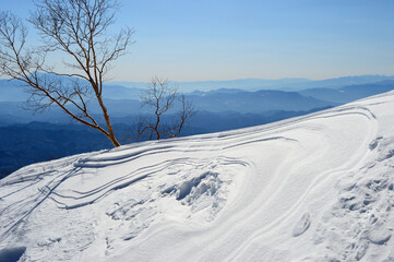 風雪後の雪面模様