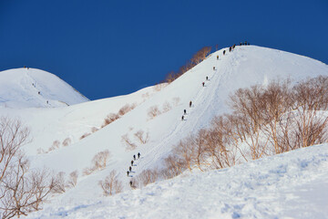 冬の唐松岳を目指す登山者