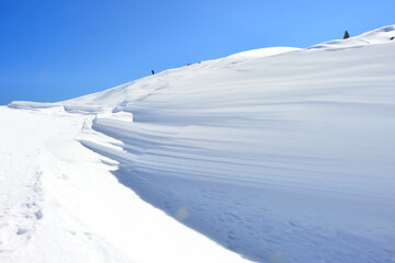 八方尾根のシュカブラ