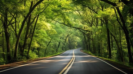 Obraz premium wildlife road highway