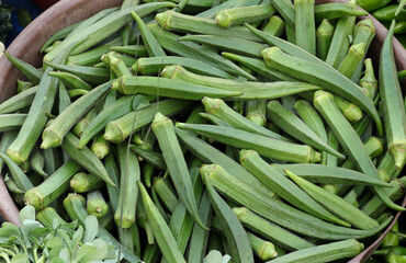 exotic vegetables. Okra lady finger, Bhindi, Fresh green roselle, ingredient of asian food. Okra or Okra Abelmoschus esculentus as ladies' finger or other is a flowering plant in the mallow family.