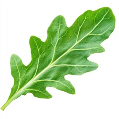 Naklejka premium Fresh arugula leaf isolated on white background for food blogs