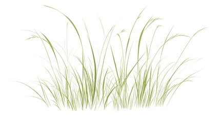 Obraz premium Green vector art on a white background, featuring grasses 