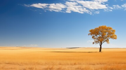 plains orange free state