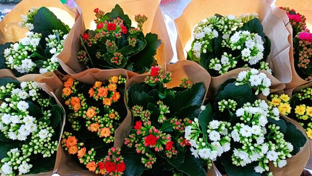 Colorful Flower Bouquets Embracing Natures Incredible Charm and Beauty in Full Bloom