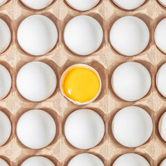 Row of white eggs and single broken egg with a yolk. White Eggs and Yellow Egg Yolk. Individuality and difference concept