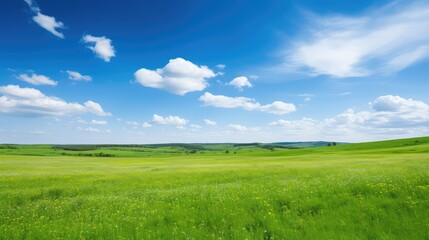 Fototapeta premium outdoors blue sky green field