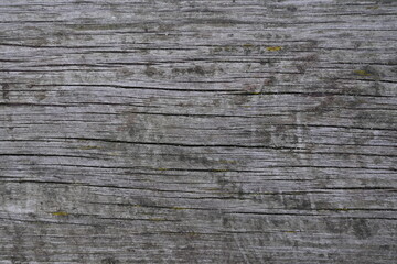 Fototapeta premium gray old wood flooring abstract as background, old wood texture close up as a background, 