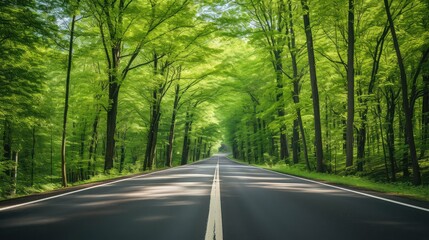 Fototapeta premium segment road segments