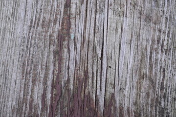 gray old wood flooring abstract as background, old wood texture close up as a background,	