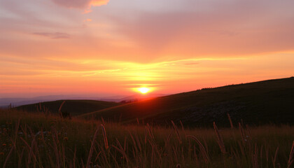 Stunning sunset over a vast field with golden grasses and rolling hills, capturing a peaceful and serene moment in nature with warm evening light.
