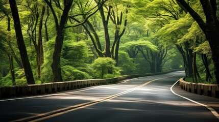 Obraz premium journey infinite road