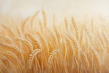Fototapeta premium Golden Wheat Field Oil Painting Artwork .
