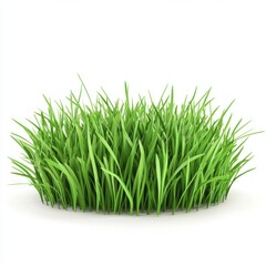 Obraz premium Lush green grass tuft, isolated, white background, nature design