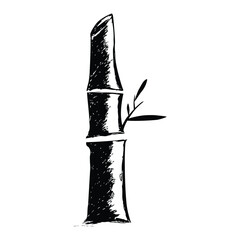 Small One Bamboo Tree, Simple Vector Hand Draw Sketch, at White Background