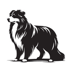 Classic Australian Shepherd silhouette with refined elegance - Australian Shepherd illustration - minimal Australian Shepherd vector - dog silhouette
