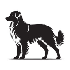 Australian Shepherd silhouette ideal for logo and branding purposes - Australian Shepherd illustration - minimal Australian Shepherd vector - dog silhouette
