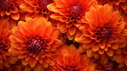 bouquet luxury green background