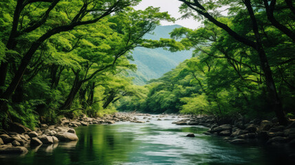 Lush Green River Valley Landscape - Nature photography