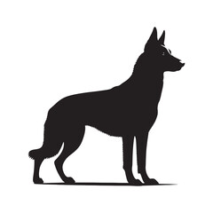 Sharp Belgian Malinois silhouette featuring clean and refined edges - Belgian Malinois illustration - minimal Belgian Malinois vector - dog silhouette
