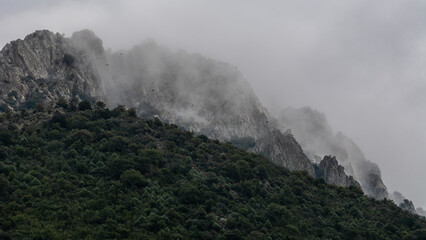 Niebla en los roquedos