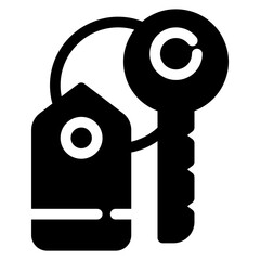 key solid icon