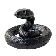 Fototapeta premium A sleek, coiled black snake with a striking gaze, showcasing intricate scales and a poised posture.